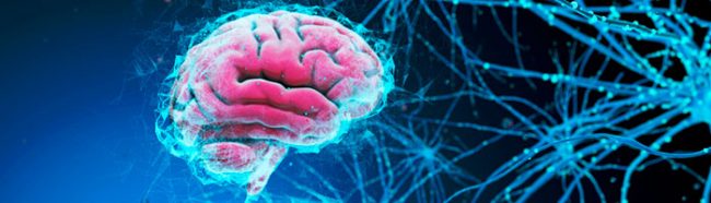 Татьяна Голикова и Вероника Скворцова открыли Центр когнитивного и психоэмоционального здоровья ФМБА