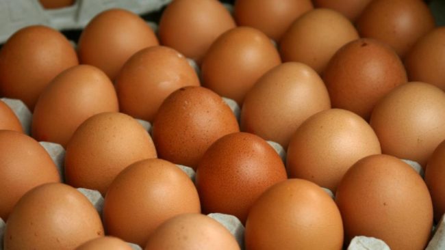 Nutrients: употребление яиц снижает риск сердечно-сосудистых болезней на 29%