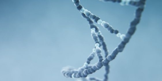 Получено перспективное соединение для создания нового препарата против рака