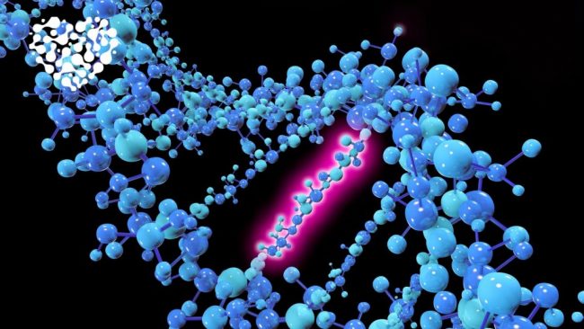 Факторы окружающей среды и гены играют ключевую роль в развитии