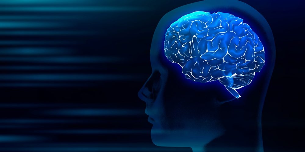 Science Advances: за быстрое старение мозга отвечают семь генов