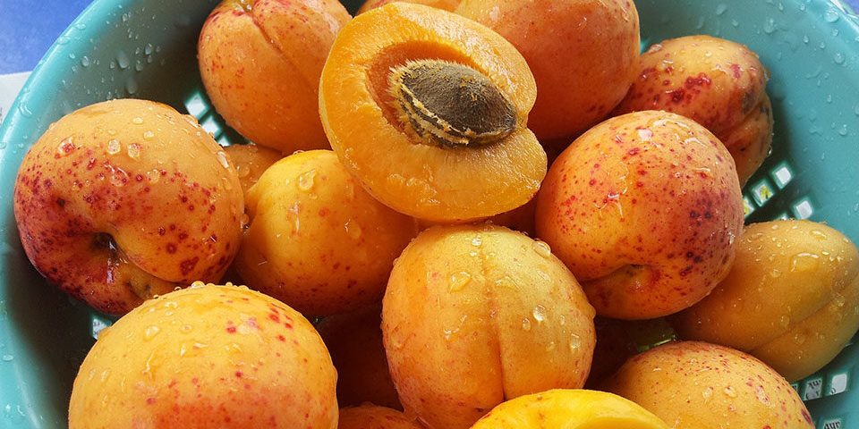 New York Post: абрикосы полезны для глаз, кишечника и кожи