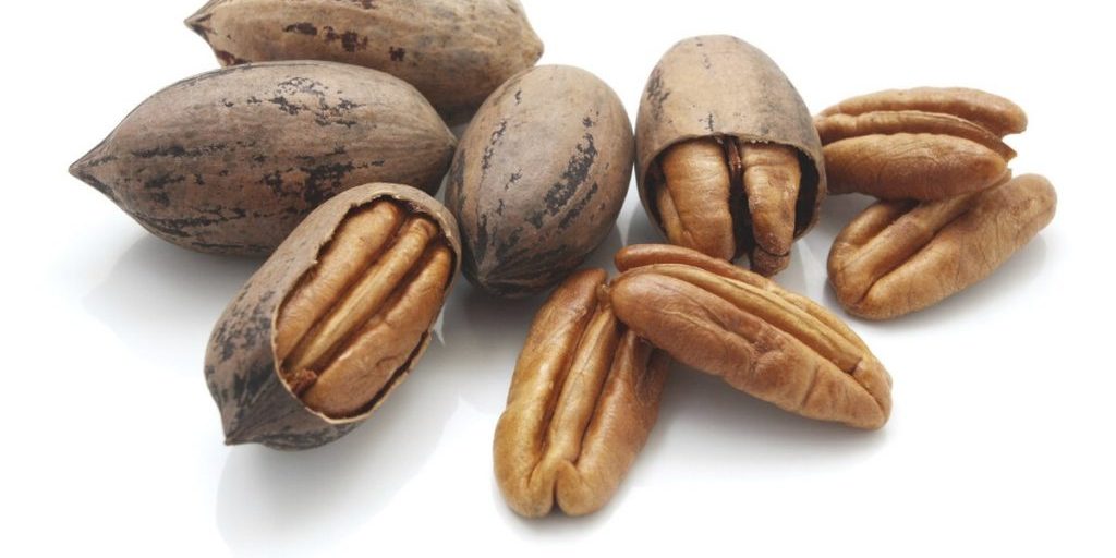 Ежедневное употребление нескольких граммов пекана связали с улучшением здоровья сердца