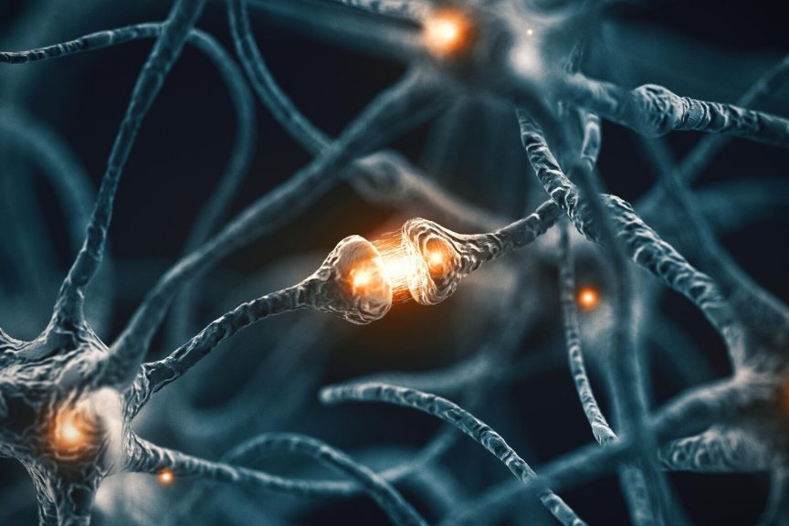 Врач назвала 8 продуктов, улучшающих работу мозга