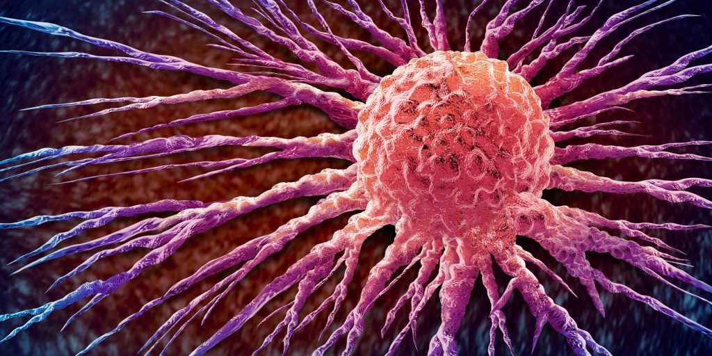 JВС: растительное соединение сульфуретин замедляет развитие рака