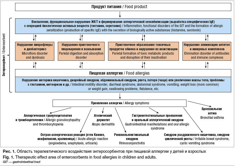 Рис. 1. Область терапевтического воздействия энтеросорбентов при пищевой аллергии у детей и взрослых Fig. 1. Therapeutic effect area of enterosorbents in food allergies in children and adults. GIT — gastrointestinal tract
