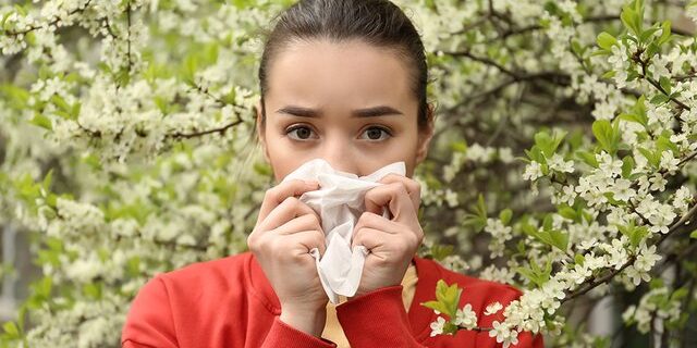 8 домашних способов облегчить весеннюю аллергию, не налегая на лекарства