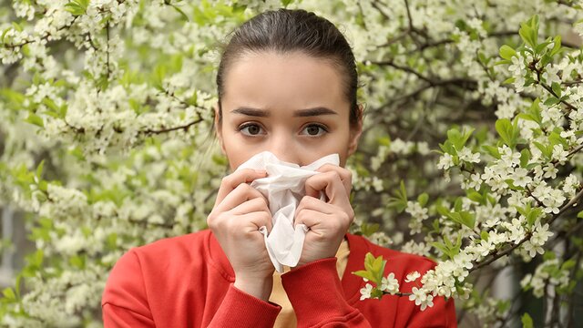 8 домашних способов облегчить весеннюю аллергию, не налегая на лекарства