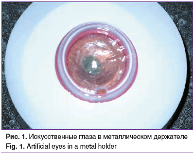 Рис. 1. Искусственные глаза в металлическом держателе Fig. 1. Artificial eyes in a metal holder