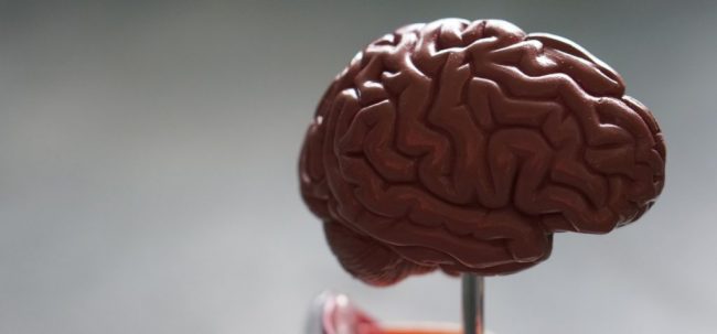 Neuropsy: мозг разделен на полушария для управления зрением, а не