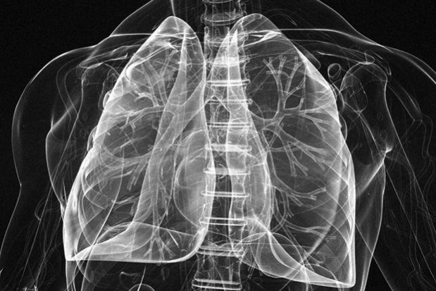 The Lancet: потеря емкости легких начинается в возрасте от 20