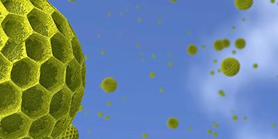 Весна принесла двойную волну аллергии