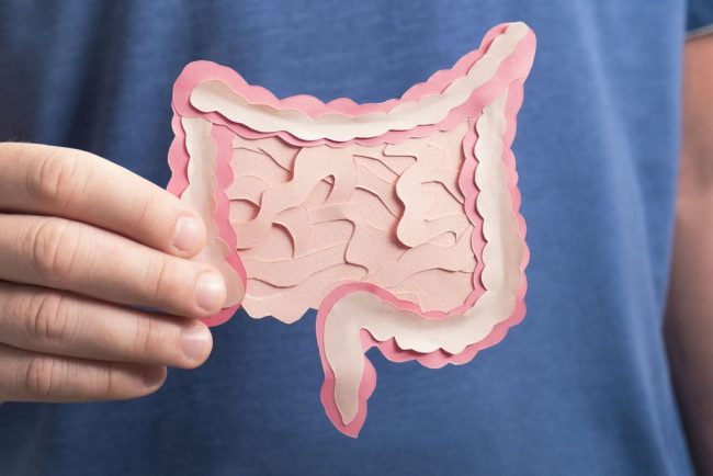 JCI: кислота пропионат в кишечнике защищает от болезни Альцгеймера