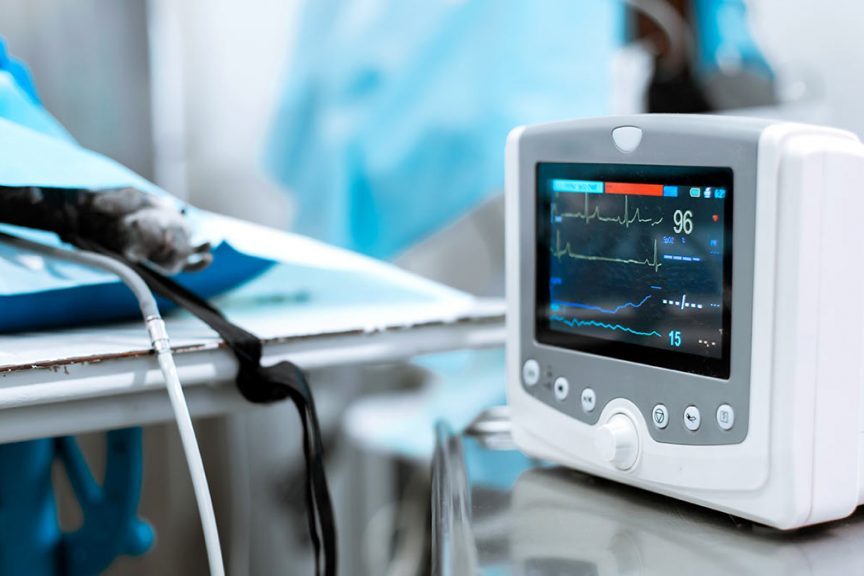 ИИ-ассистента для прогноза сердечной недостаточности создали в КБГУ