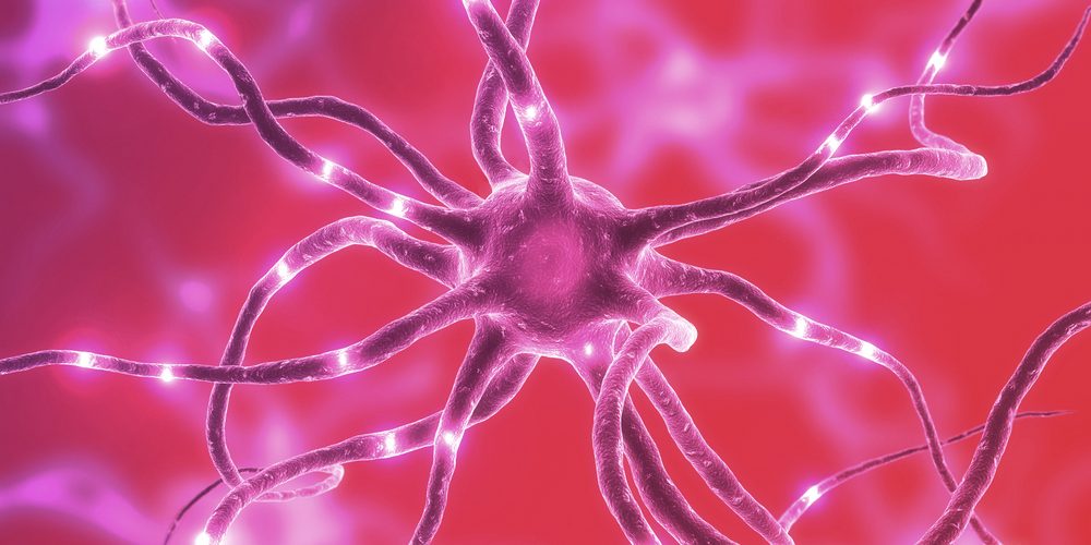 Не нравится горькое? Ученые нашли связь этого с болезнями почек