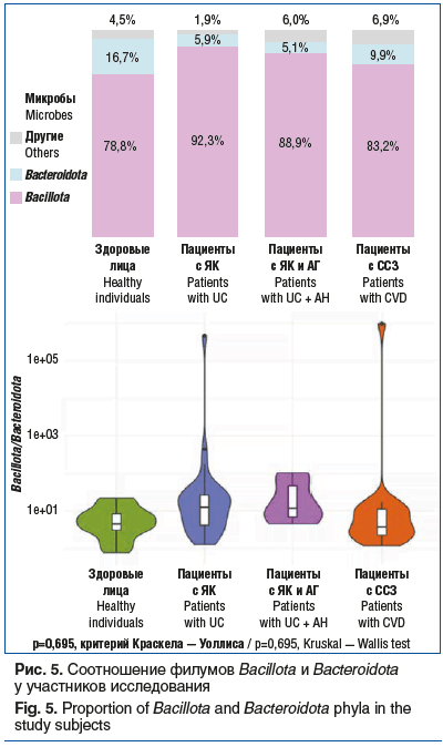 Рис. 5. Соотношение филумов Bacillota и Bacteroidota у участников исследования Fig. 5. Proportion of Bacillota and Bacteroidota phyla in the study subjects