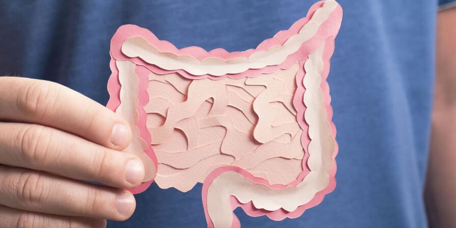 MNFR: растительная диета снижает риск воспалительных заболеваний кишечника