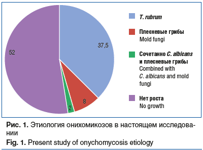 Рис. 1. Этиология онихомикозов в настоящем исследовании Fig. 1. Present study of onychomycosis etiology