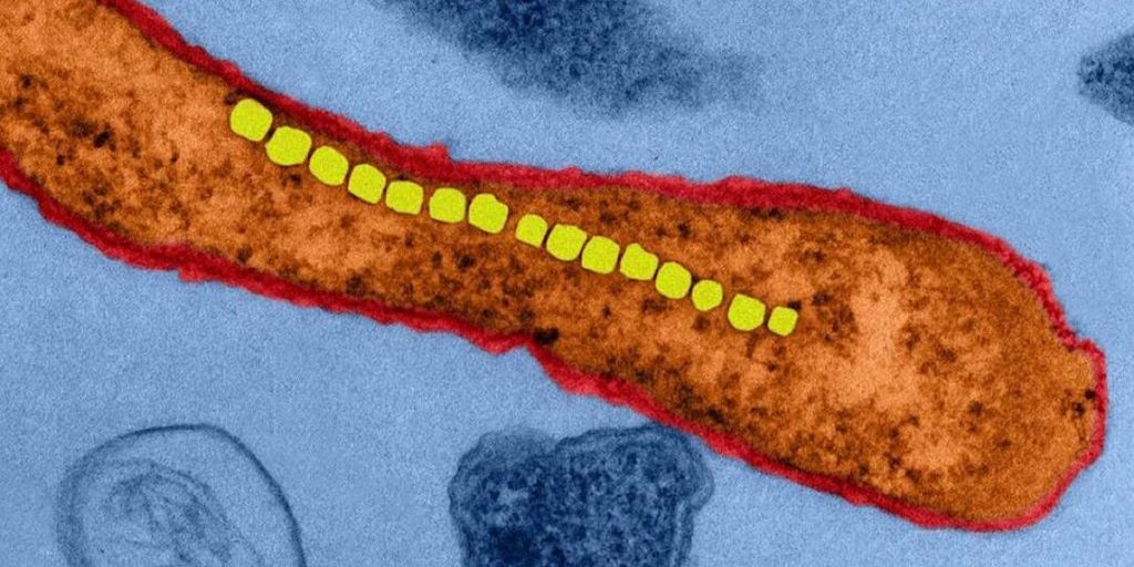 Российские ученые представили инновационную мРНК-вакцину для лечения меланомы