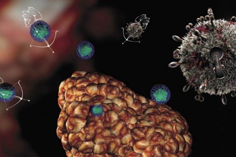 Профессор Чумаков: онколитические вирусы могут бороться со всеми видами рака