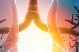 Первые в мире: ученые Роспотребнадзора разработали тест для быстрого выявления грибковых инфекций