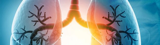 Первые в мире: ученые Роспотребнадзора разработали тест для быстрого выявления грибковых инфекций