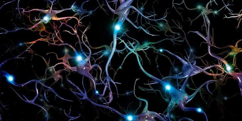 Нейроны мозга помогают стабилизировать уровень сахара в крови ночью