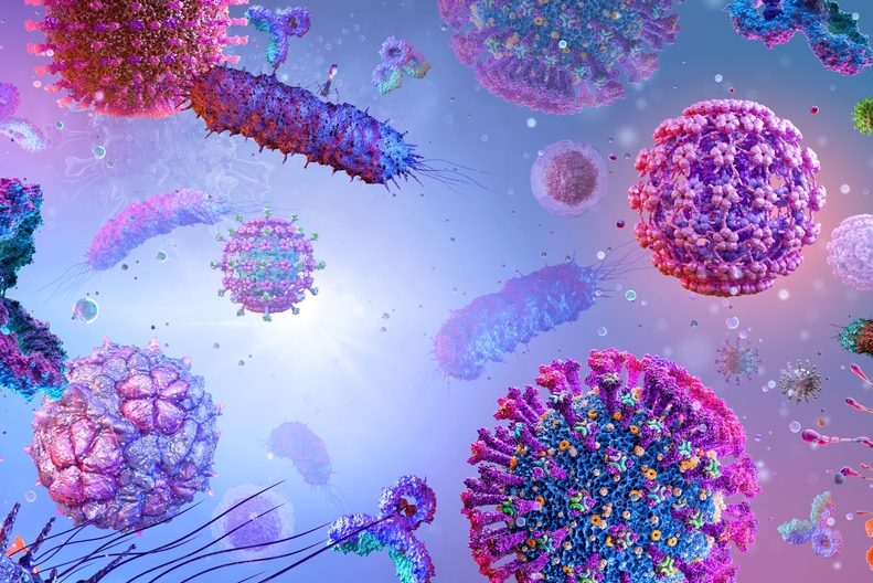 Раскрыта роль генов, унаследованных нами от древних вирусов