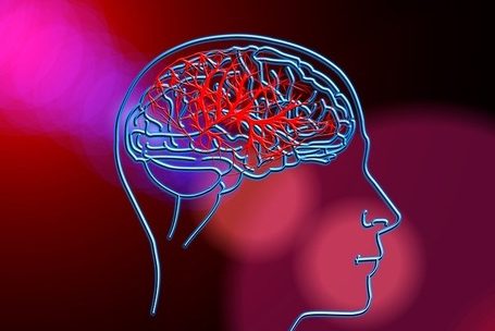 Здоровые привычки замедляют старение мозга, показало исследование