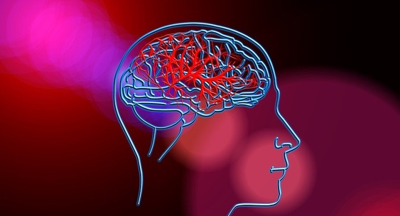 Здоровые привычки замедляют старение мозга, показало исследование