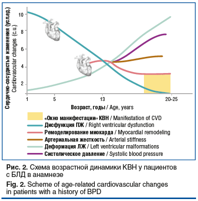 Рис. 2. Схема возрастной динамики КВН у пациентов с БЛД в анамнезе Fig. 2. Scheme of age-related cardiovascular changes in patients with a history of BPD