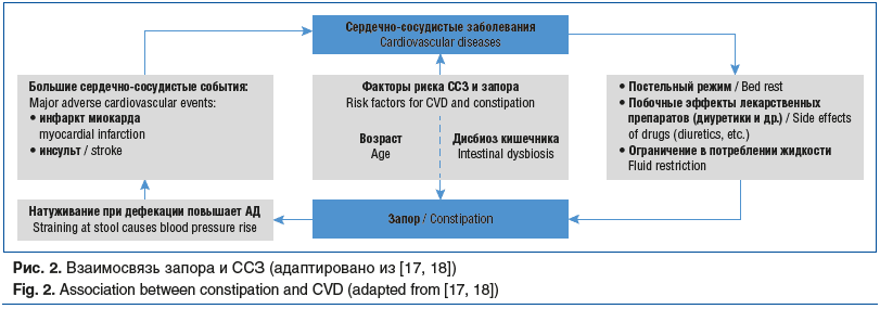 Рис. 2. Взаимосвязь запора и ССЗ (адаптировано из [17, 18]) Fig. 2. Association between constipation and CVD (adapted from [17, 18])