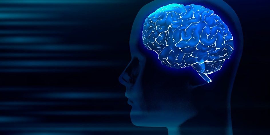 Открытие «выключателя» может помочь очистить мозг от распространённого паразита