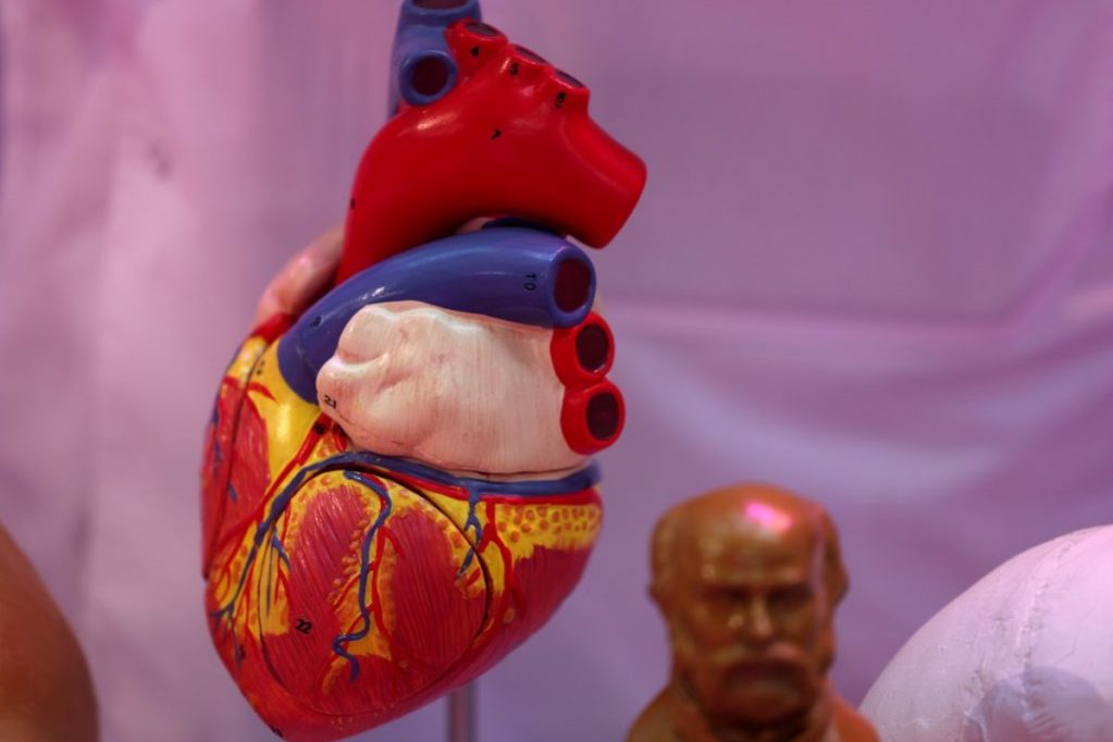 Conversation: Решающий возраст для здоровья сердца – 17-25 лет