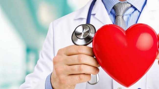 Как поддержать здоровье сердца и сосудов?