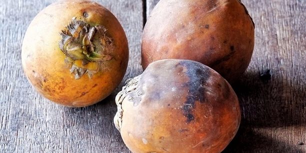 Эксперт Омаров: Жевание бетельного ореха приводит к раку полости рта