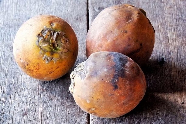 Эксперт Омаров: Жевание бетельного ореха приводит к раку полости рта