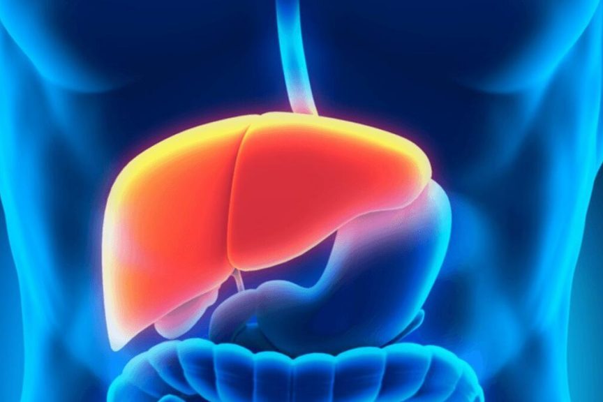 Врач перечислила восстанавливающие печень продукты