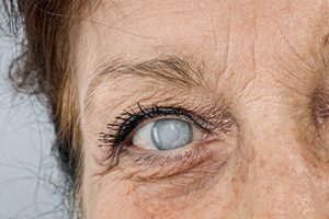 В России стартовали поставки первого отечественного биоаналога для лечения слепоты из перечня