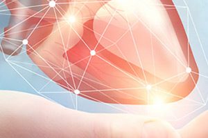 «Кардиоэлектроника» и «Испытательный институт медицинской техники» создадут единую систему стандартов для имплантатов