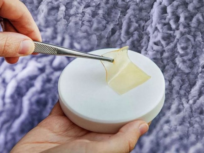 Российские ученые создали ранозаживляющие покрытия из коллагена трески