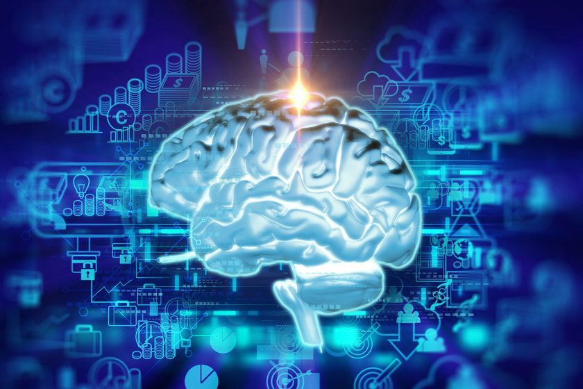 Нейробиологи выяснили, как мозг обрабатывает зеркальные прикосновения