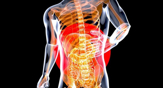 Названы повседневные привычки, которые могут навредить поджелудочной железе