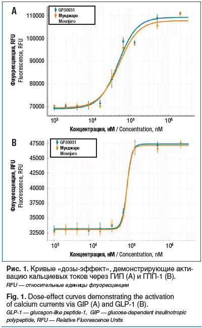 Рис. 1. Кривые «дозы-эффект», демонстрирующие акти- вацию кальциевых токов через ГИП (А) и ГПП-1 (В). RFU — относительные единицы флуоресценции Fig. 1. Dose-effect curves demonstrating the activation of calcium currents via GIP (A) and GLP-1 (B). GLP-1 — 