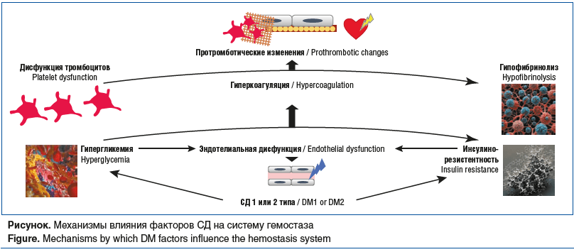 Рисунок. Механизмы влияния факторов СД на систему гемостаза Figure. Mechanisms by which DM factors influence the hemostasis system