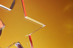 Объявлены лауреаты премии «Хрустальный подсолнух»