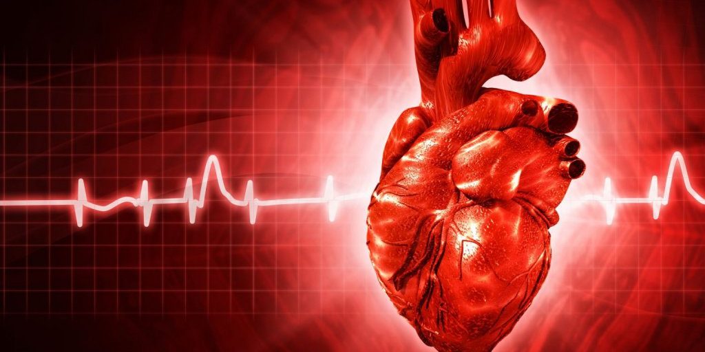 eBio: Названа ещё одна опасность ожирения для сердца