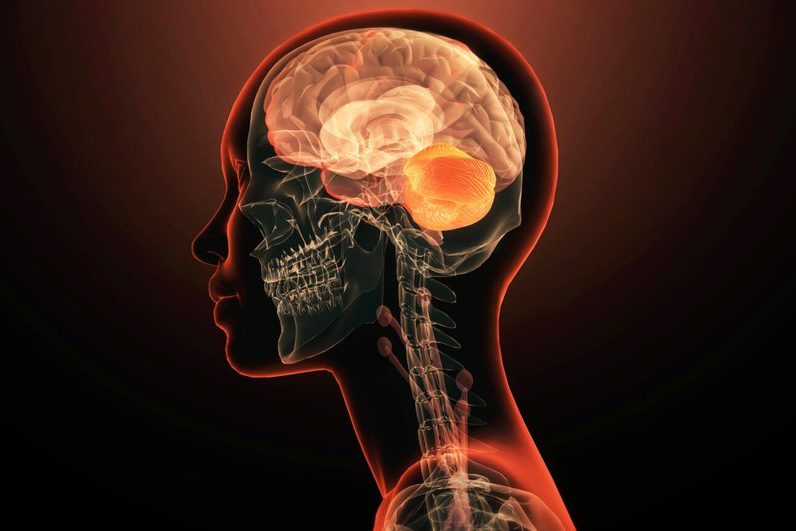 Исследователи обнаружили ранние изменения мозга, связанные с развитием психоза