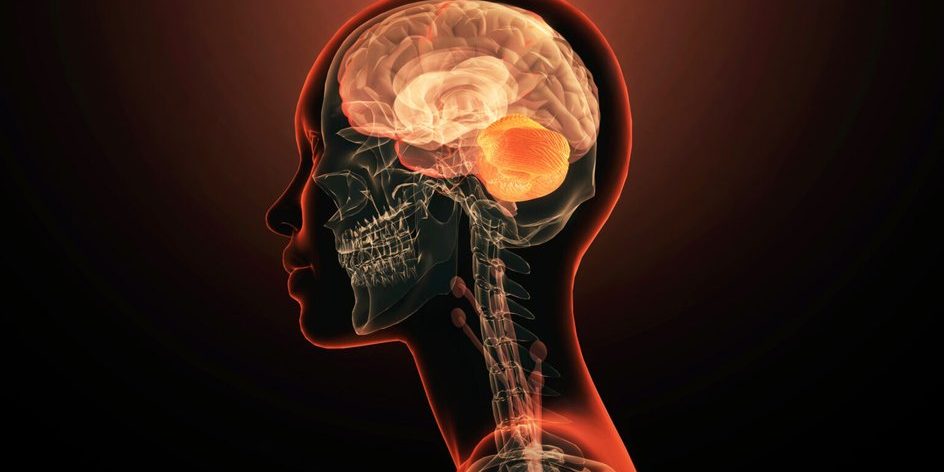 Исследователи обнаружили ранние изменения мозга, связанные с развитием психоза