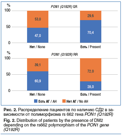 Рис. 2. Распределение пациентов по наличию СД2 в за- висимости от полиморфизма rs 662 гена PON1 (Q192R) Fig. 2. Distribution of patients by the presence of DM2 depending on the rs662 polymorphism of the PON1 gene (Q192R)